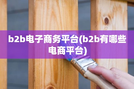 b2b电子商务平台(b2b有哪些电商平台)