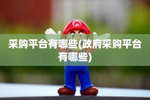采购平台有哪些(政府采购平台有哪些)