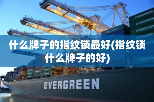 什么牌子的指纹锁最好(指纹锁什么牌子的好)