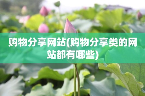 购物分享网站(购物分享类的网站都有哪些)