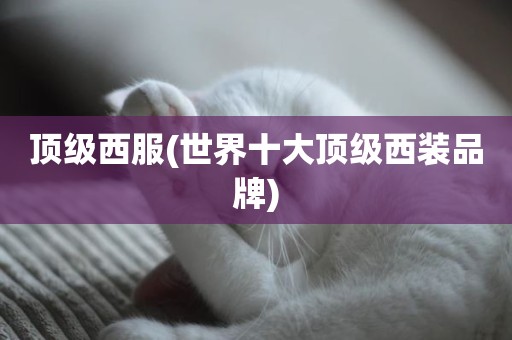 顶级西服(世界十大顶级西装品牌)