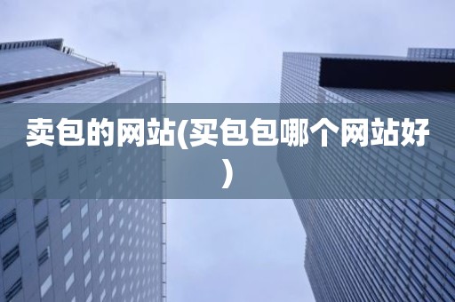 卖包的网站(买包包哪个网站好)
