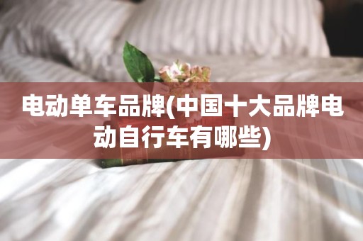 电动单车品牌(中国十大品牌电动自行车有哪些)