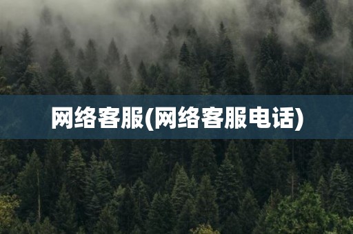 网络客服(网络客服电话)