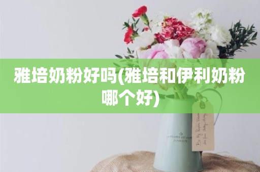 雅培奶粉好吗(雅培和伊利奶粉哪个好)