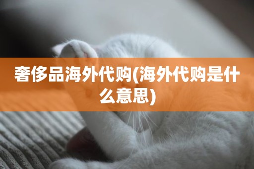 奢侈品海外代购(海外代购是什么意思)
