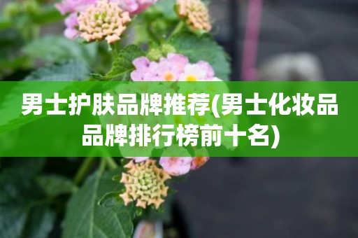 男士护肤品牌推荐(男士化妆品品牌排行榜前十名)