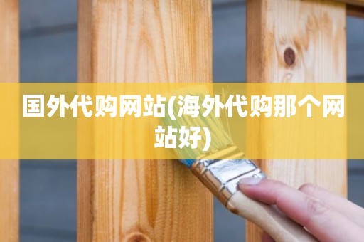 国外代购网站(海外代购那个网站好)