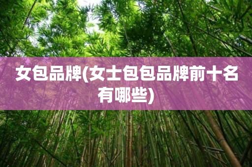 女包品牌(女士包包品牌前十名有哪些)