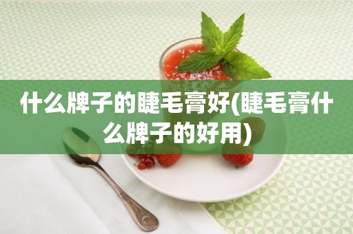 什么牌子的睫毛膏好(睫毛膏什么牌子的好用)