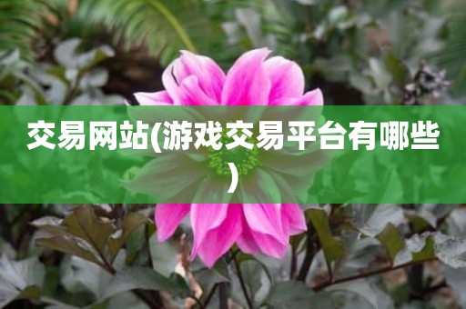 交易网站(游戏交易平台有哪些)