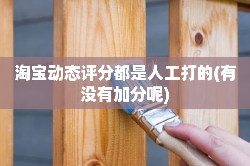 淘宝动态评分都是人工打的(有没有加分呢)