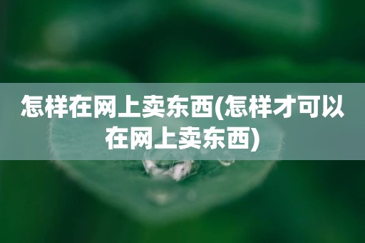怎样在网上卖东西(怎样才可以在网上卖东西)