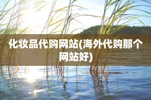 化妆品代购网站(海外代购那个网站好)