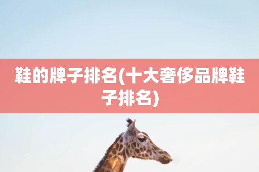 鞋的牌子排名(十大奢侈品牌鞋子排名)