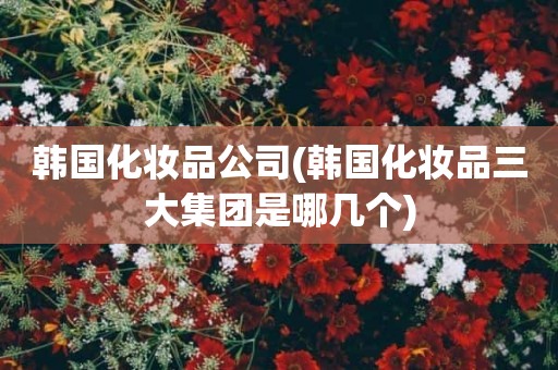 韩国化妆品公司(韩国化妆品三大集团是哪几个)