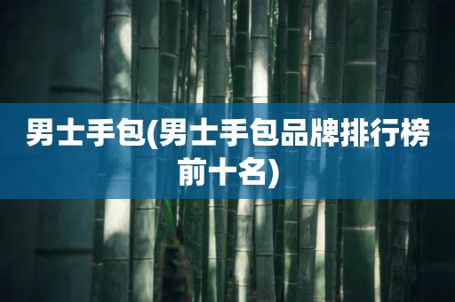 男士手包(男士手包品牌排行榜前十名)