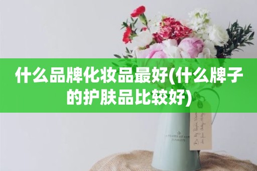 什么品牌化妆品最好(什么牌子的护肤品比较好)