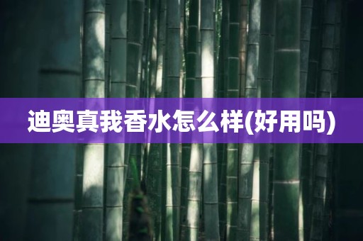 迪奥真我香水怎么样(好用吗)