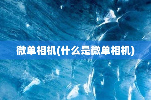 微单相机(什么是微单相机)