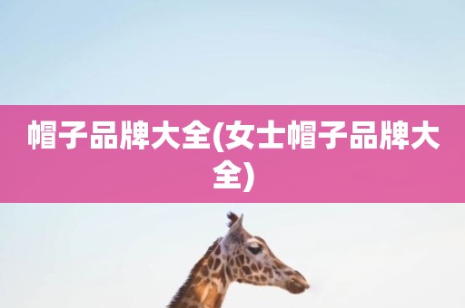 帽子品牌大全(女士帽子品牌大全)