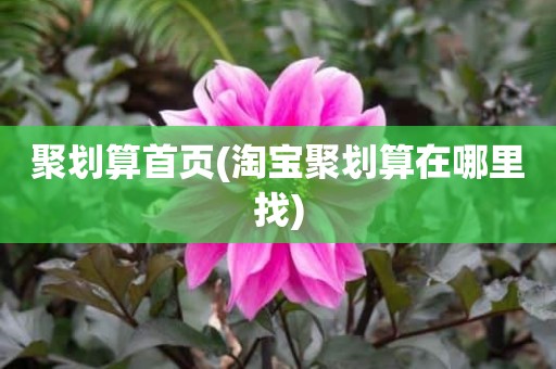 聚划算首页(淘宝聚划算在哪里找)