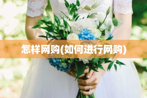 怎样网购(如何进行网购)