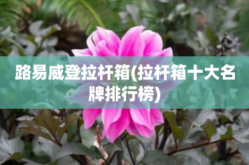 路易威登拉杆箱(拉杆箱十大名牌排行榜)