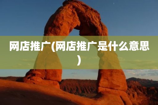 网店推广(网店推广是什么意思)