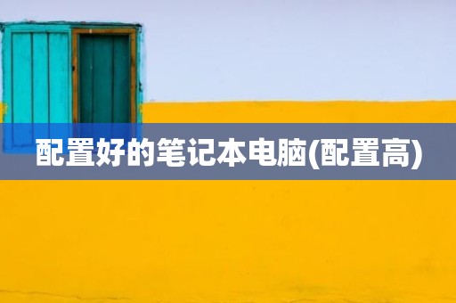 配置好的笔记本电脑(配置高)
