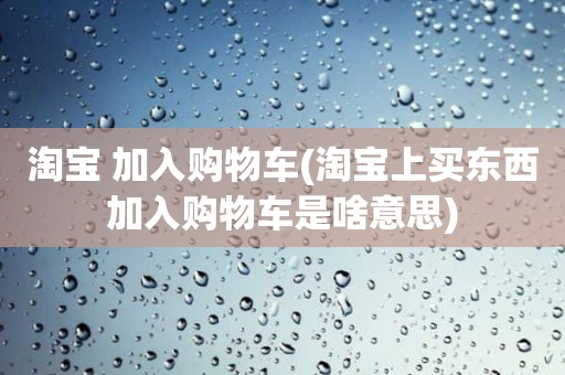 淘宝 加入购物车(淘宝上买东西加入购物车是啥意思)