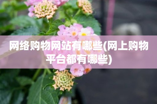 网络购物网站有哪些(网上购物平台都有哪些)