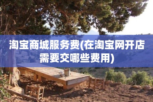 淘宝商城服务费(在淘宝网开店需要交哪些费用)
