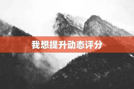 我想提升动态评分