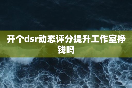 开个dsr动态评分提升工作室挣钱吗