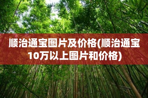 顺治通宝图片及价格(顺治通宝10万以上图片和价格)