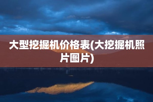 大型挖掘机价格表(大挖掘机照片图片)