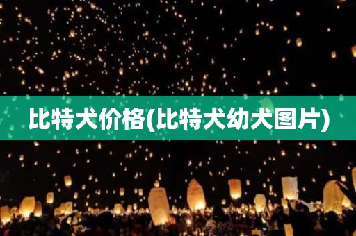 比特犬价格(比特犬幼犬图片)