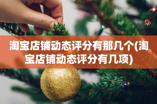 淘宝店铺动态评分有那几个(淘宝店铺动态评分有几项)