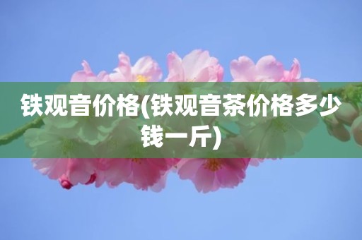 铁观音价格(铁观音茶价格多少钱一斤)