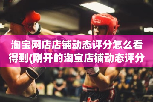 淘宝网店店铺动态评分怎么看得到(刚开的淘宝店铺动态评分什么时候开始显示)