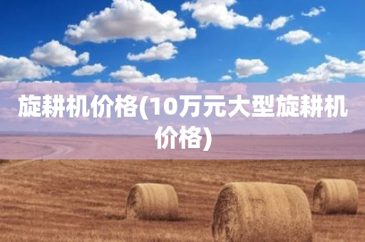 旋耕机价格(10万元大型旋耕机价格)