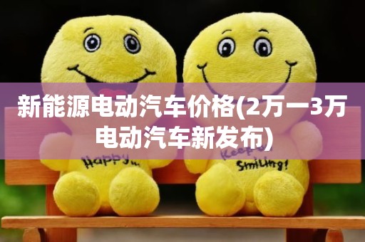 新能源电动汽车价格(2万一3万电动汽车新发布)