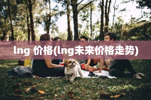 lng 价格(lng未来价格走势)