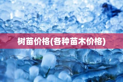 树苗价格(各种苗木价格)