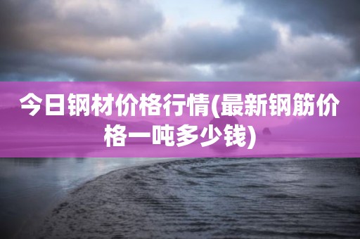今日钢材价格行情(最新钢筋价格一吨多少钱)