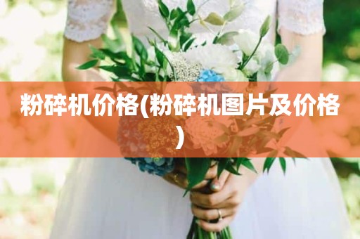 粉碎机价格(粉碎机图片及价格)