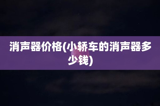 消声器价格(小轿车的消声器多少钱)