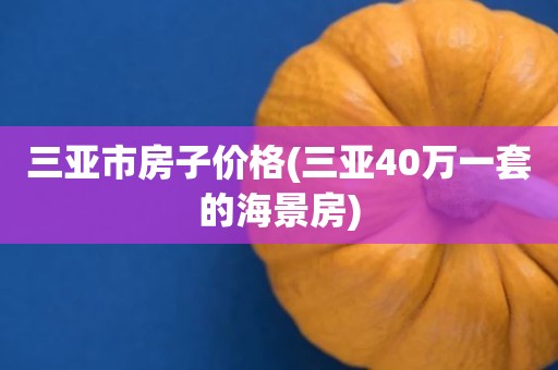 三亚市房子价格(三亚40万一套的海景房)