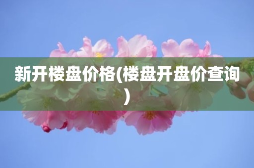 新开楼盘价格(楼盘开盘价查询)